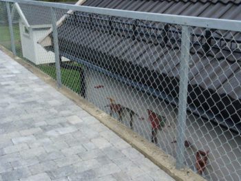 Flettverksgjerder galvanisert | BB Moss